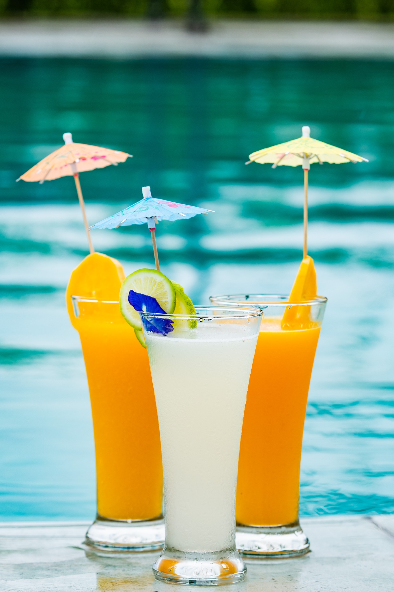 Smoothy